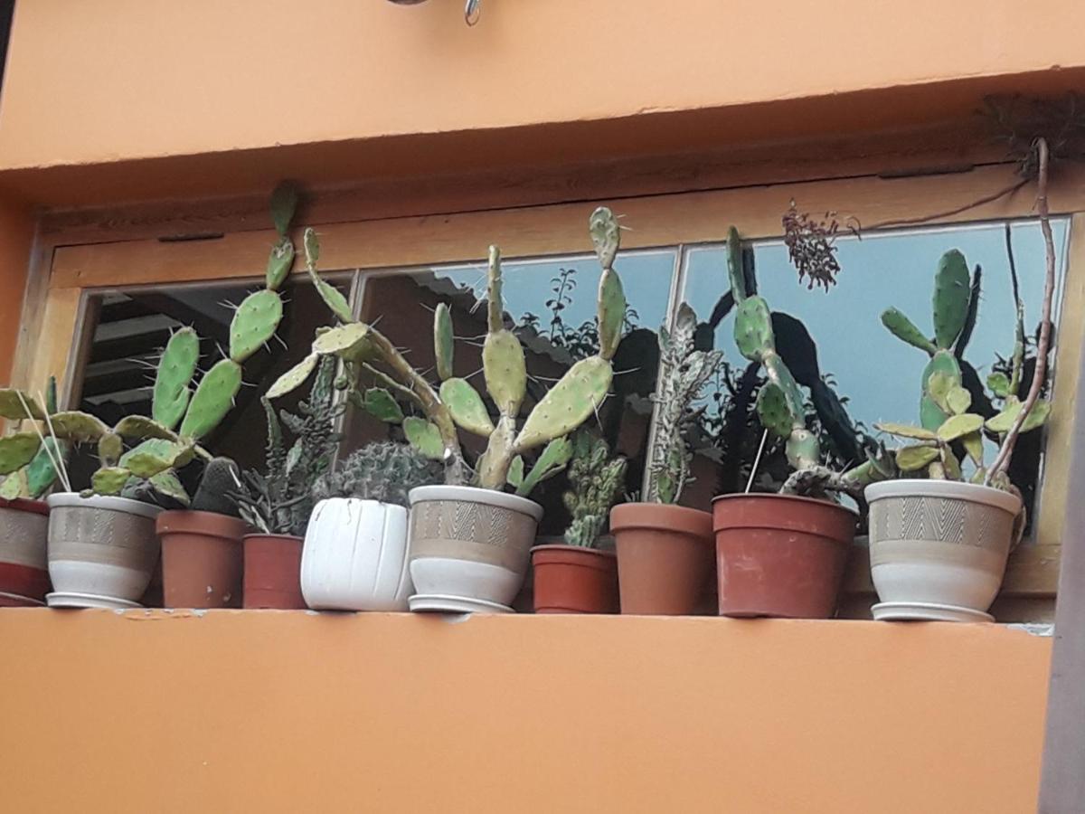 La Biblioteca Apartment Olavarria Ngoại thất bức ảnh